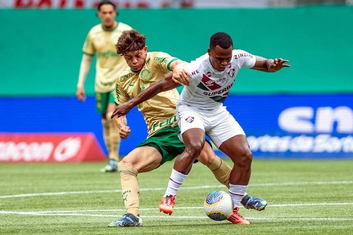 Nhận định, soi kèo Fluminense vs Palmeiras, 5h00 ngày 24/7: Chủ nhà sa sút