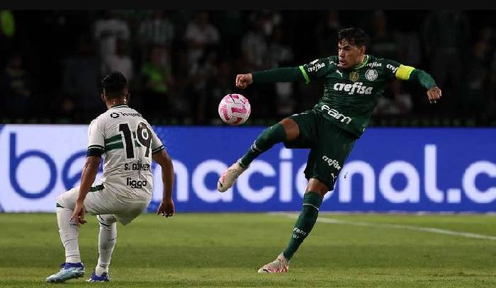 Máy tính dự đoán tỷ số Coritiba vs Palmeiras, 5h30 ngày 23/07 - VĐQG Brazil