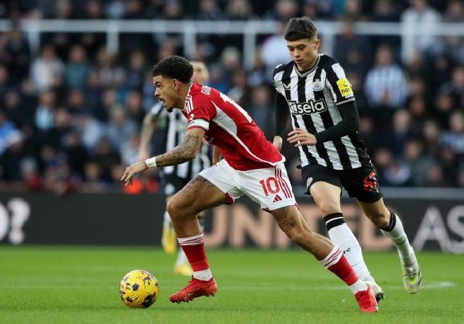 Nhận định, soi kèo Newcastle vs Nottingham Forest, 21h00 ngày 23/2: Rút ngắn khoảng cách