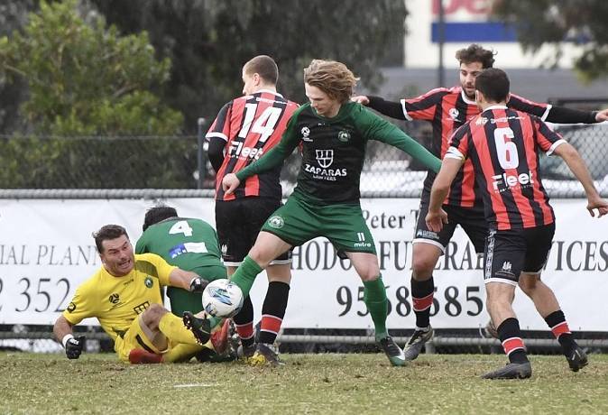 Nhận định, soi kèo Bulleen Lions vs Melbourne City Youth, 17h30 ngày 24/6: Chủ nhà ra oai