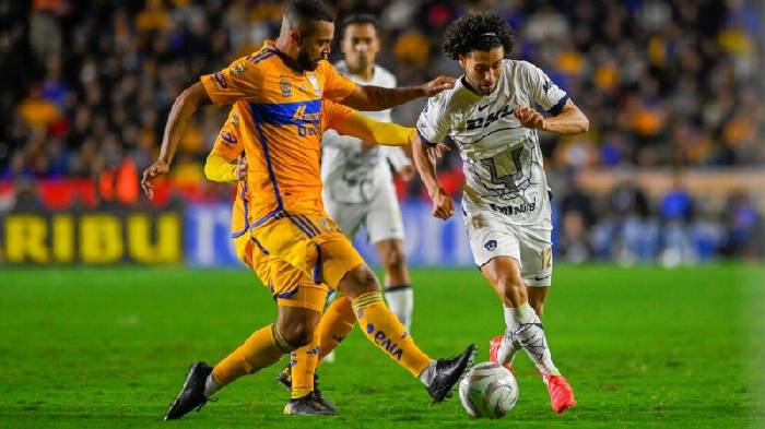 Nhận định bóng đá Pumas vs Tigres, 10h00 ngày 25/10: Khách lấn chủ