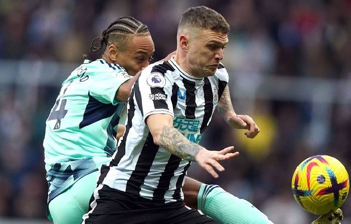 Nhận định, soi kèo Newcastle vs Fulham, 21h00 ngày 25/10: Chích chòe hót vang