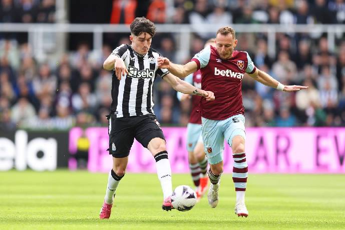 Link xem trực tiếp Newcastle vs West Ham Ngoại hạng Anh 03h00 ngày 26/11