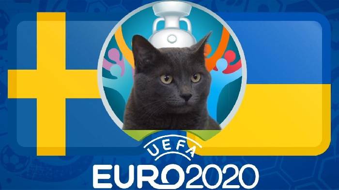 Mèo tiên tri dự đoán Thụy Điển vs Ukraina, 2h ngày 30/6
