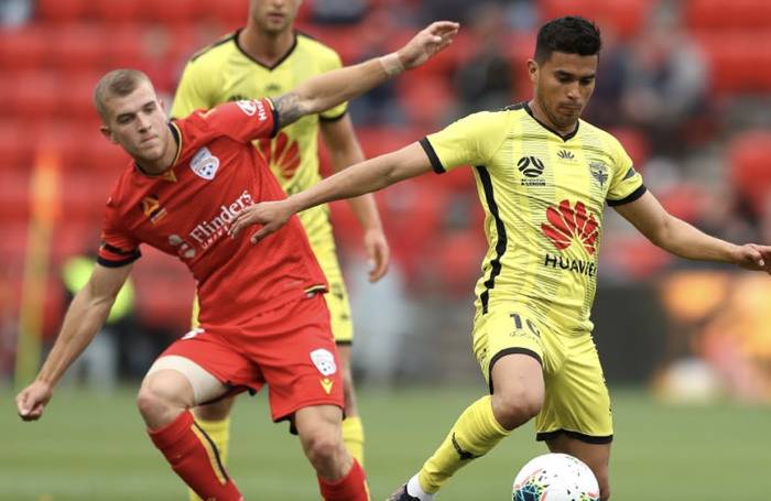 Nhận định, soi kèo Wellington Phoenix vs Adelaide United, 11h00 ngày 29/11: Thắng lợi thứ 3 liên tiếp