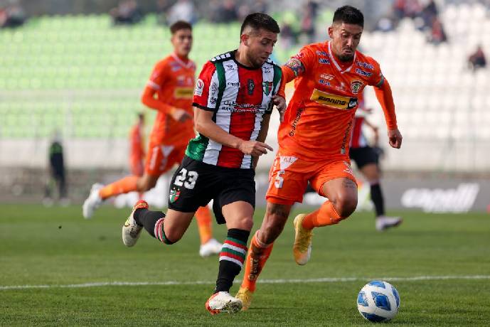 Nhận định, soi kèo Cobreloa vs Palestino, 7h00 ngày 30/7: Mồi ngon khó bỏ