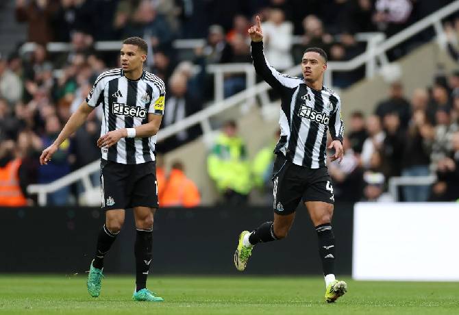 Kèo thẻ phạt Everton vs Newcastle 02h45 ngày 30/10