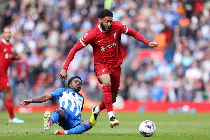 Link xem trực tiếp Brighton vs Liverpool cúp Liên đoàn 02h30 ngày 31/10