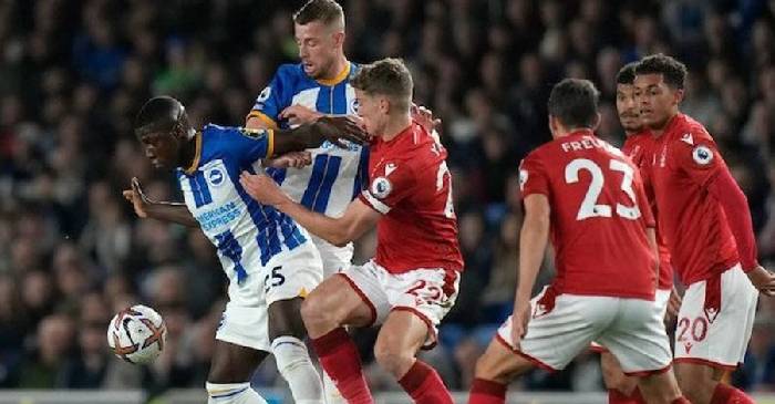 Nhận định, soi kèo Nottingham vs Brighton, 19h30 ngày 1/2: Mòng biển gãy cánh