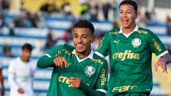 Nhận định, soi kèo Criciuma vs Palmeiras, 02h00 ngày 3/6: Cửa trên đáng tin