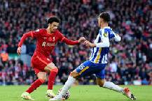 Link xem trực tiếp Liverpool vs Brighton Ngoại hạng Anh 22h00 ngày 2/11