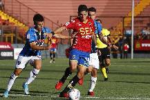 Nhận định Bahia vs Independiente, 5h15 ngày 5/5 Nhận định Bahia vs Independiente, 5h15 ngày 5/5