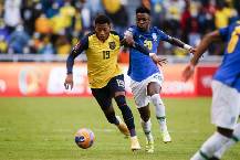 Nhận định, soi kèo Ecuador vs Brazil, 6h00 ngày 6/6: Khởi đầu khó khăn Nhận định, soi kèo Ecuador vs Brazil, 6h00 ngày 6/6: Khởi đầu khó khăn