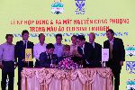 Công Phượng ra mắt Sint-Truiden, 10h ngày 5/7 Công Phượng ra mắt Sint-Truiden, 10h ngày 5/7