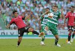 Nhận định Lobos BUAP vs Santos Laguna 05h00, 07/1 (VĐQG Mexico)