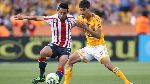 Nhận định Tigres UANL vs Chivas Guadalajara, 8h00 ngày 9/2