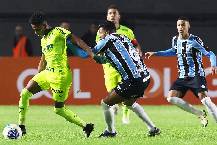 Nhận định, soi kèo Palmeiras vs Gremio, 7h30 ngày 9/11: Bám đuổi ngôi đầu