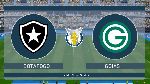 Nhận định bóng đá Botafogo vs Goias, 05h15 ngày 10/10: Tiếp tục lao dốc