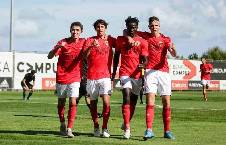 Nhận định, soi kèo Benfica U19 vs Bologna U19, 17h00 ngày 11/12: Điểm tựa sân nhà