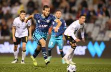 Nhận định, soi kèo Macarthur vs Wellington Phoenix, 13h ngày 12/2 Nhận định, soi kèo Macarthur vs Wellington Phoenix, 13h ngày 12/2