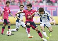 Nhận định, soi kèo Gamba Osaka vs Cerezo Osaka, 17h00 ngày 14/2: Đắng cay xa nhà