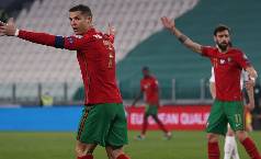 Rùa tiên tri dự đoán Hungary vs Bồ Đào Nha, 23h ngày 15/6