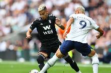 Chuyên gia Tony Ansell dự đoán Fulham vs Tottenham, 20h30 ngày 16/3