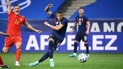 Rùa tiên tri dự đoán Hungary vs Pháp, 20h ngày 19/6