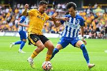 Nhận định, soi kèo Brighton vs Wolves, 1h45 ngày 19/9: Móng vuốt của Hải âu