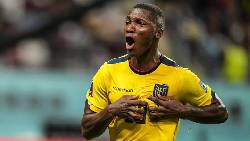 Nhận định, soi kèo Ecuador vs New Zealand, 08h30 ngày 19/11: Tìm lại niềm vui