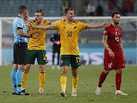 Rùa tiên tri dự đoán Italia vs Xứ Wales, 23h ngày 20/6