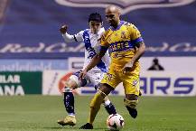 Nhận định, soi kèo Tigres UANL vs Puebla, 09h05 ngày 21/4 Nhận định, soi kèo Tigres UANL vs Puebla, 09h05 ngày 21/4