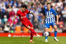 Chuyên gia Tony Ansell dự đoán Brighton vs Liverpool, 02h00 ngày 20/5 Chuyên gia Tony Ansell dự đoán Brighton vs Liverpool, 02h00 ngày 20/5