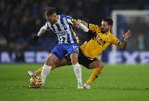 Soi kèo phạt góc Brighton vs Wolves, 2h45 ngày 23/1