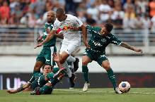 Nhận định, soi kèo Bragantino vs Palmeiras, 5h ngày 24/6