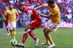 Nhận định Tigres UANL vs Toluca, 8h00 ngày 23/11