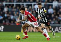 Nhận định, soi kèo Newcastle vs Nottingham Forest, 21h00 ngày 23/2: Rút ngắn khoảng cách