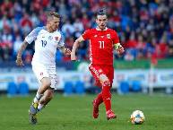 Tiên tri mèo Cass dự đoán Wales vs Đan Mạch, 23h ngày 26/6