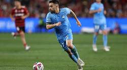 Nhận định, soi kèo Sanfrecce Hiroshima vs Sydney FC, 17h00 ngày 23/10: Tin vào Sydney FC