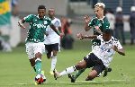 Nhận định Botafogo vs Palmeiras 02h00, 26/05 (VĐQG Brazil)