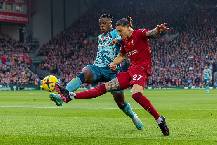 Link xem trực tiếp Southampton vs Liverpool Ngoại hạng Anh 21h00 ngày 24/11