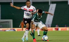 Nhận định, soi kèo Botafogo SP vs Novorizontin, 07h00 ngày 28/5: Khó cho khách Nhận định, soi kèo Botafogo SP vs Novorizontin, 07h00 ngày 28/5: Khó cho khách