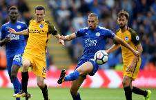 Nhận định, soi kèo Leicester vs Brighton, 1h45 ngày 28/10