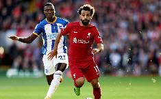 Nhận định, soi kèo Brighton vs Liverpool, 20h30 ngày 29/1