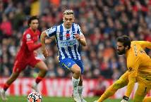 Soi kèo phạt góc Brighton vs Liverpool, 20h30 ngày 29/1