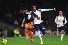 Soi kèo góc Tottenham vs Newcastle, 23h30 ngày 29/08