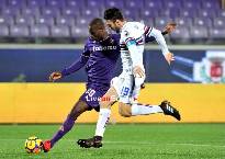 Tỷ lệ kèo nhà cái Fiorentina vs Sampdoria, 0h30 ngày 1/12 Tỷ lệ kèo nhà cái Fiorentina vs Sampdoria, 0h30 ngày 1/12