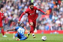 Link xem trực tiếp Brighton vs Liverpool cúp Liên đoàn 02h30 ngày 31/10