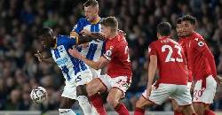 Nhận định, soi kèo Nottingham vs Brighton, 19h30 ngày 1/2: Mòng biển gãy cánh