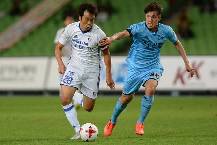 Nhận định, soi kèo Suwon vs Daegu, 17h30 ngày 31/7 Nhận định, soi kèo Suwon vs Daegu, 17h30 ngày 31/7